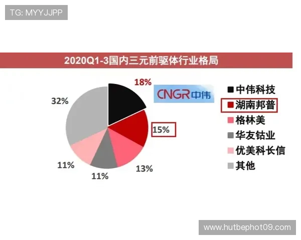 体奥动力公司：体育产业新动力引领未来发展趋势与创新探索